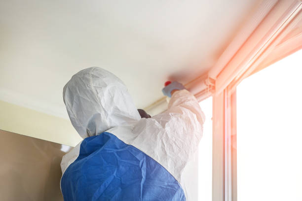 Best Commercial Mold Inspection in Gothenburg, NE